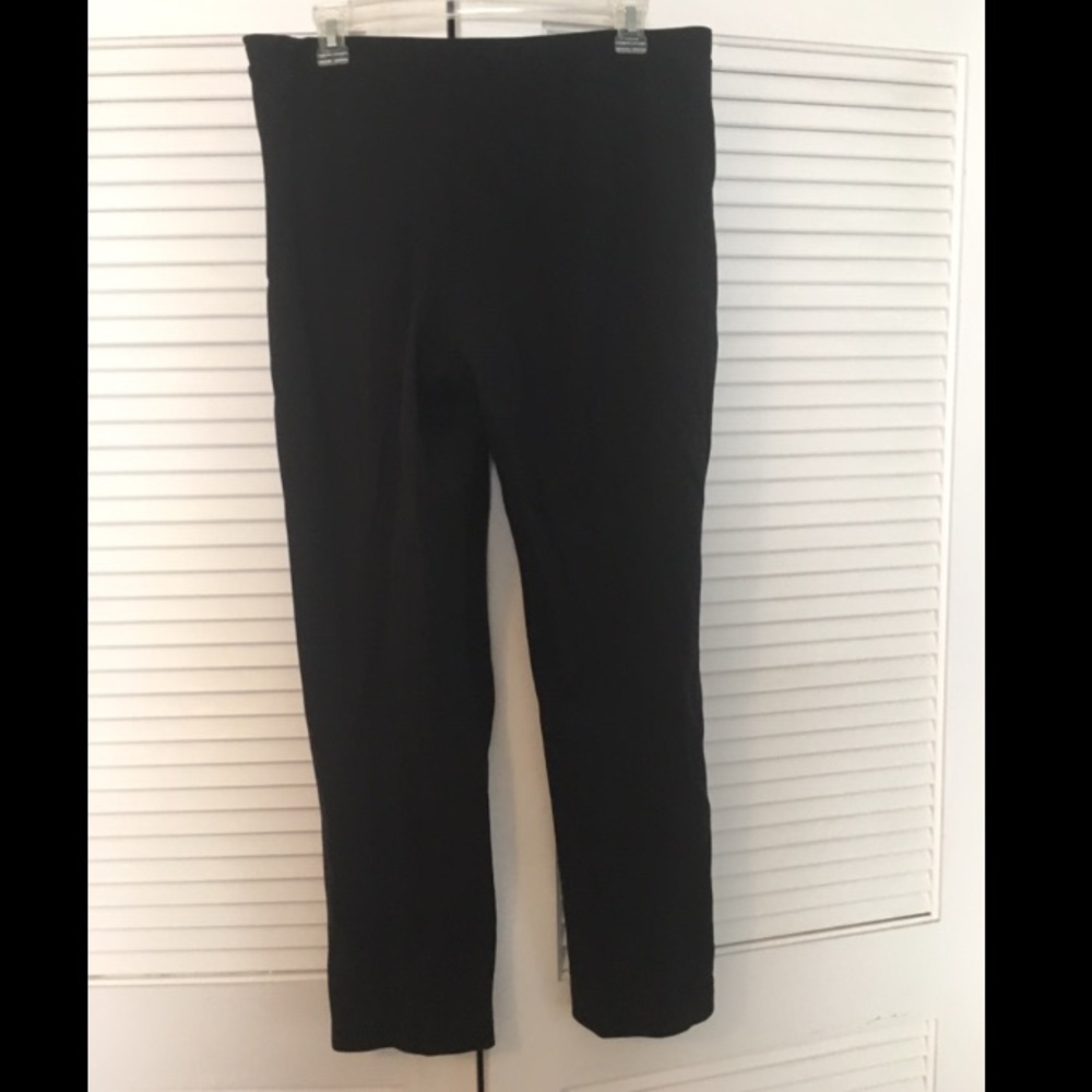 Talbots Professional Dress Pants